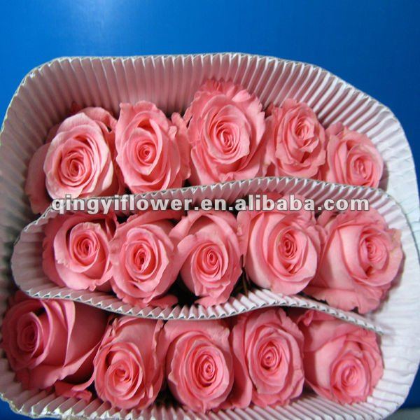 cut flower management