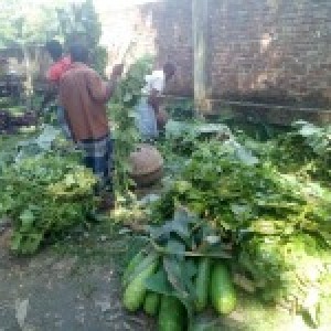 পাইকারী সবজি বাজার